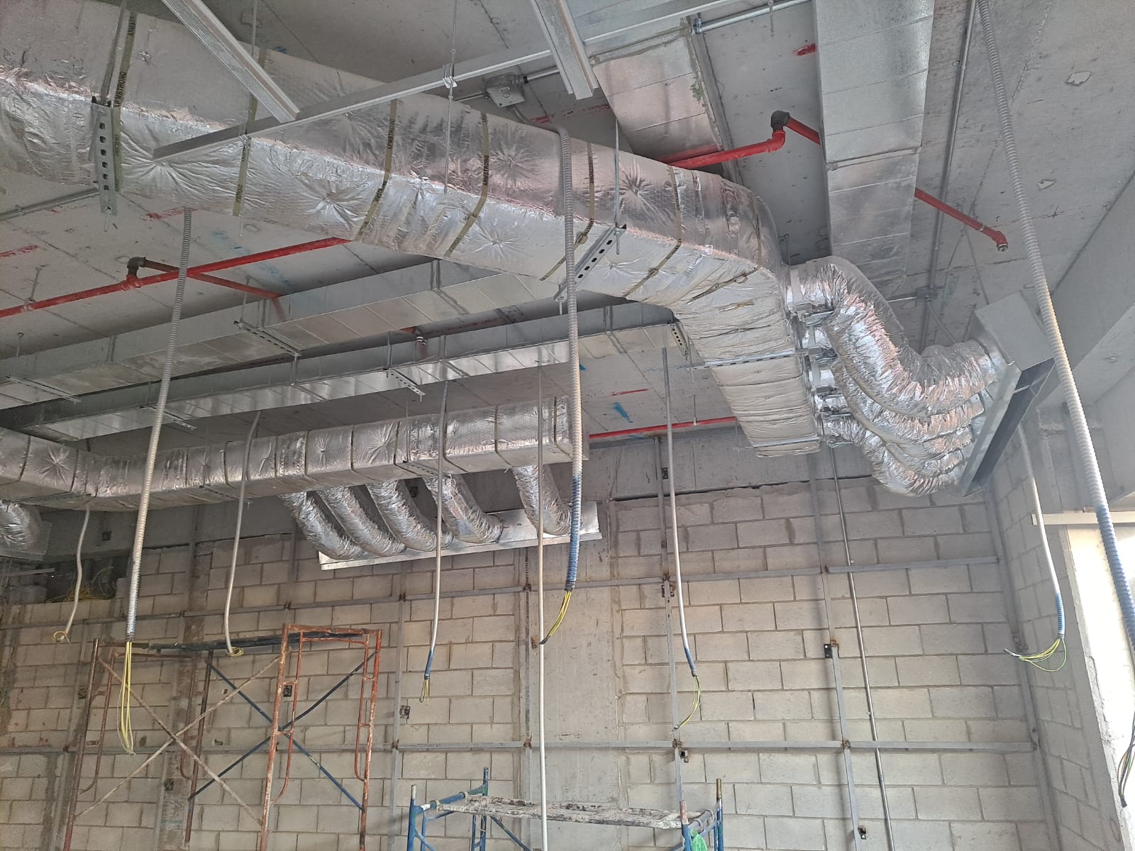 WhatsApp Image 2025-02-07 at 15.06.05 (2)